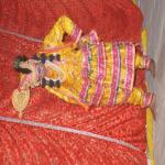 Vraj-Yatra-2014- (2581)